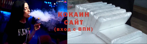 шишки Горняк