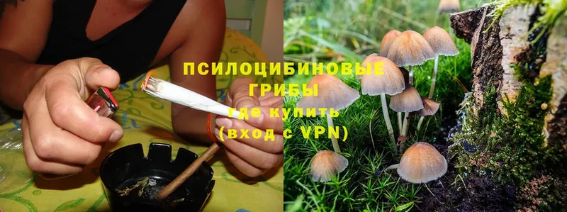 Псилоцибиновые грибы Magic Shrooms  Кириллов 